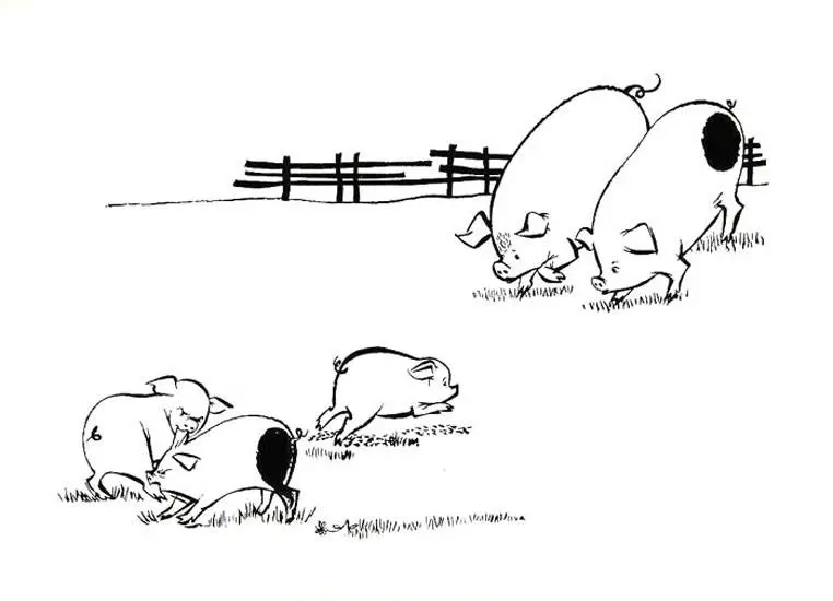 test pata negra